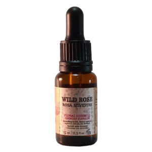 Wild Rose - Rosa Silvestre | Apatía y resignación